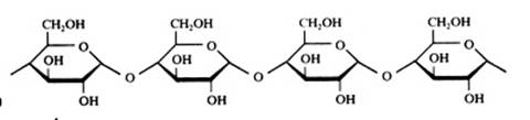 polysacharide (6K)